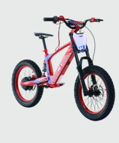 e-BRO 18 Kid's Electric Bike