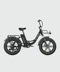Engwe L20